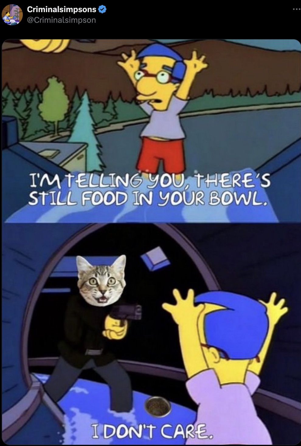 simpsons i don t care meme - Criminalsimpsons I'M Telling You, There'S Still Food In Your Bowl. I Don'T Care.